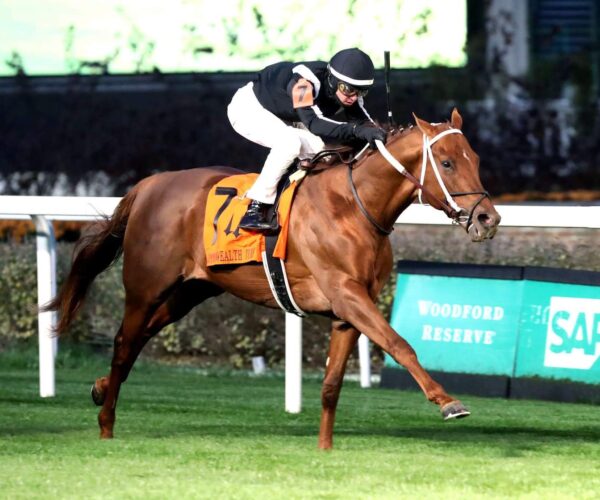 ‘Just a special horse’ – 5th straight stakes win for yearling purchase lagynos