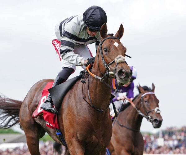Group 2 Dahlia success for arturo CousinO’S jANCIS